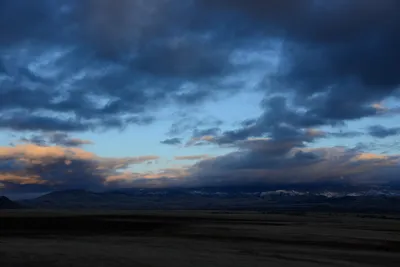 DSC_2958 (Large).JPG